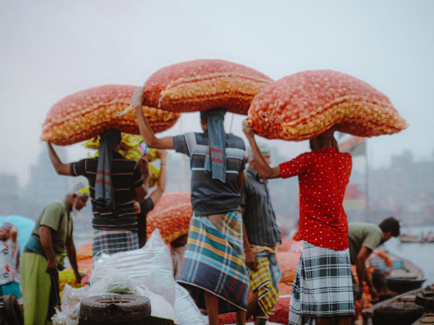 Free stock photo of agricultural worker, bangladesh 4k, hand labor