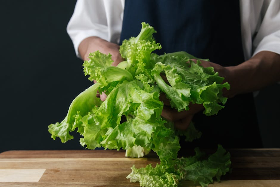 Close-up of a chef handling fresh green lettuce, ideal for culinary and healthy eating concepts.