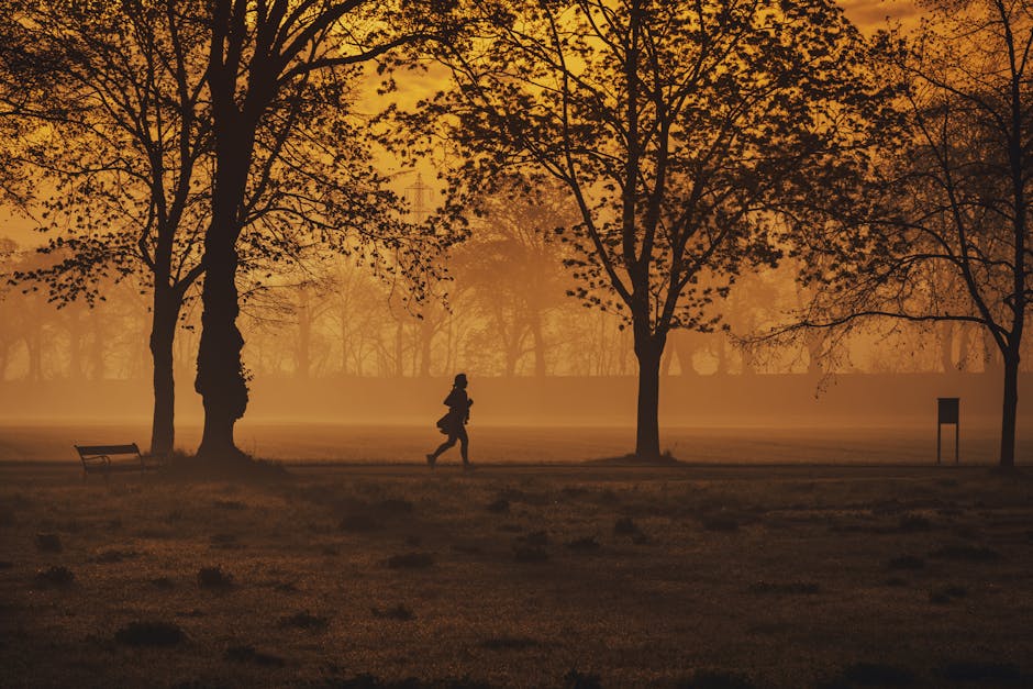 A person jogging in silhouette during sunrise on a foggy morning in a serene park setting.