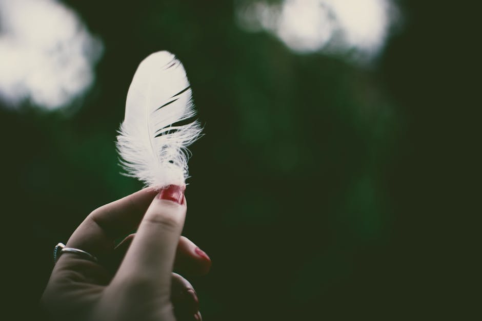 Close-up of a hand delicately holding a white feather against a dark blurred background.